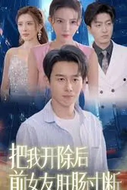 把我开除后前女友肝肠寸断海报