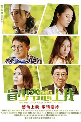 盲少爷恋上我