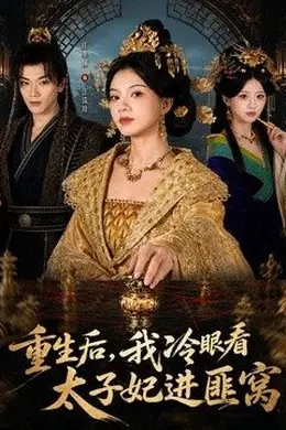 重生后,我冷眼看太子妃进匪窝海报