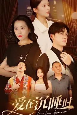 爱在沉睡时海报