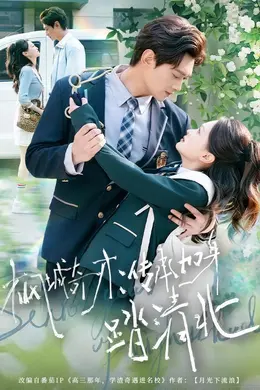 枫城奇才：传承加身踏清北