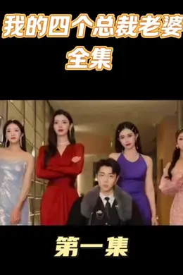 我的四个美女总裁老婆