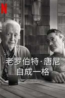 罗伯特唐尼：自成一格