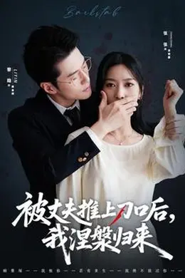 被丈夫推上刀口后,我涅槃归来海报