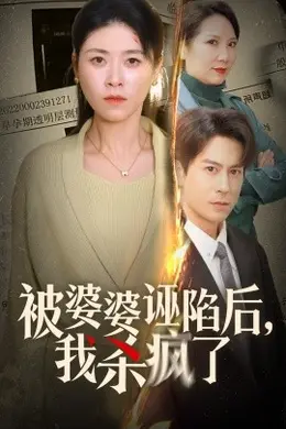 被婆婆诬陷后我杀疯了