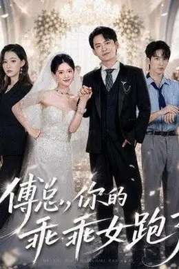 傅总，你的乖乖女跑了