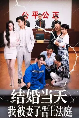 结婚当天我被妻子告上法庭