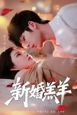 新婚羔羊