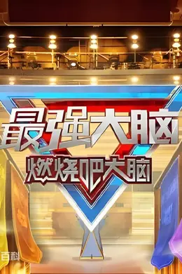 最强大脑 第十三季