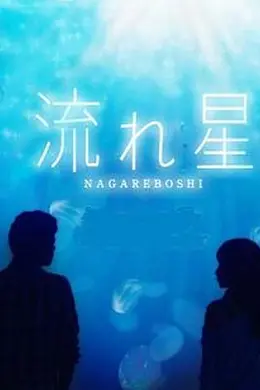 流星2010