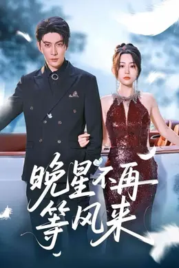 晚星不再等风来海报