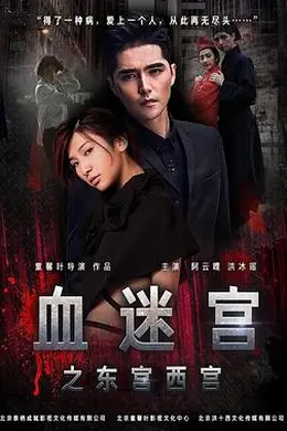 血迷宫之东宫西宫