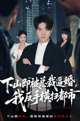 下山即被总裁逼婚，我反手横扫都市