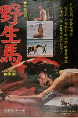 野生馬