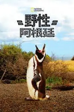 国家地理 野性阿根廷