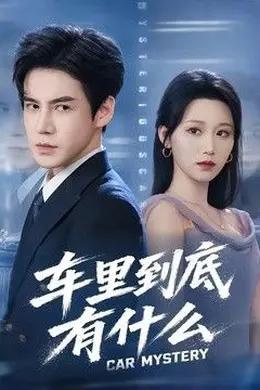 车里到底有什么