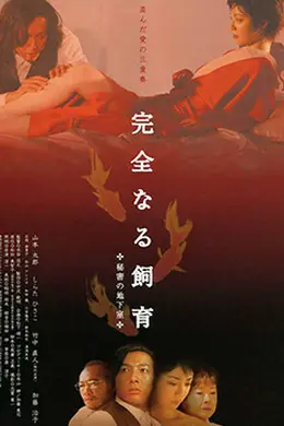 禁室培欲4：秘密地下室