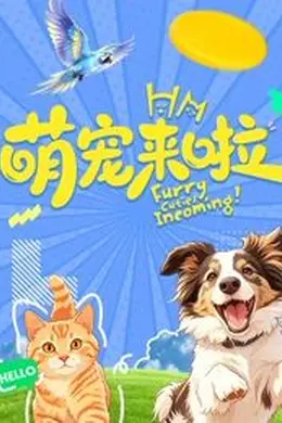 萌宠来啦