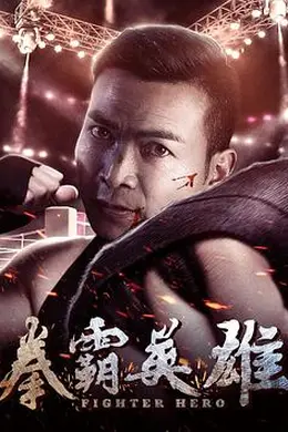 拳霸英雄