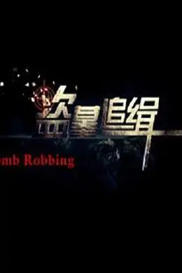 盗墓追缉