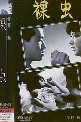裸虫
