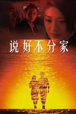 说好不分家