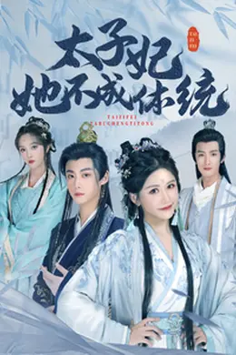 太子妃她不成体统 （李木扬 邹漪琳）