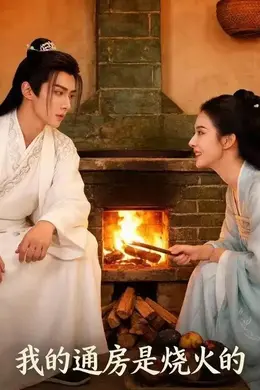我的通房是烧火的