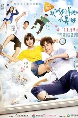 致我们单纯的小美好2017