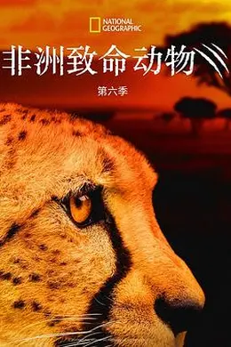 非洲致命动物第六季