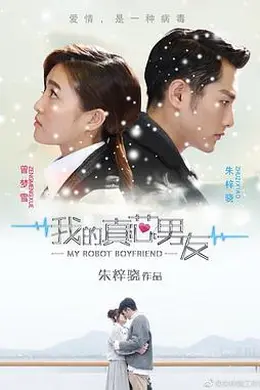 我的真芯男友