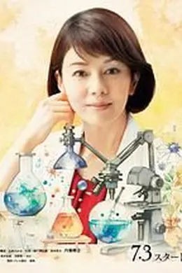 科搜研之女 第二十四季