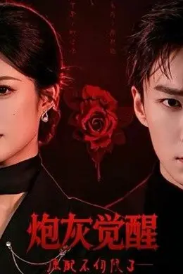 炮灰觉醒，原配不伺候了