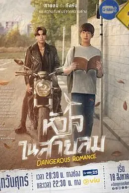 危险之爱