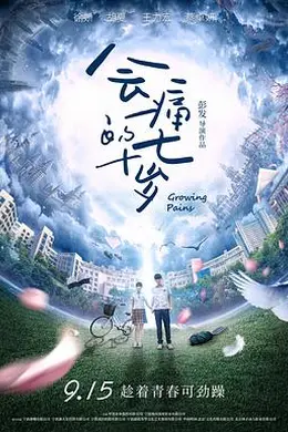 会痛的十七岁2017