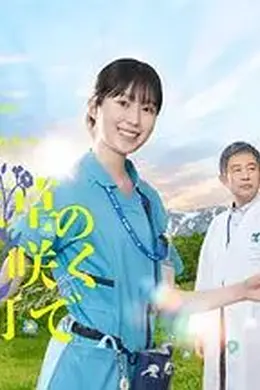 在勿忘草盛开的城镇安昙野诊疗记