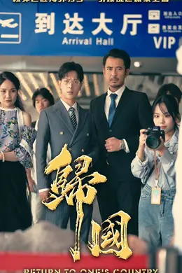 归国海报