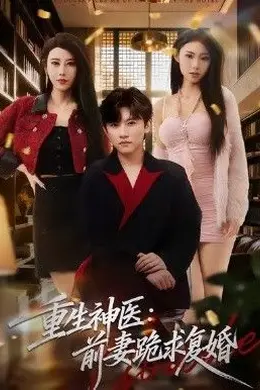 重生神医前妻跪求复婚（她跪民政局，我住总统套房）