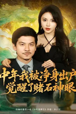 中年我被净身出户，觉醒了赌石神眼