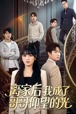 离家后我成了哥哥仰望的光海报