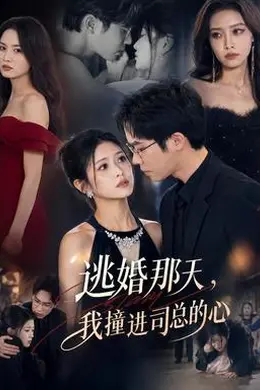 逃婚那天，我撞进司总的心