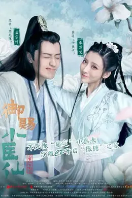 御赐小医仙