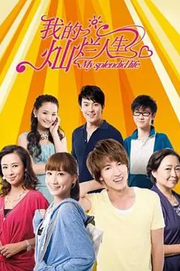 我的灿烂人生