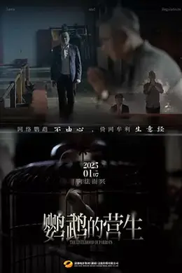 鹦鹉的营生