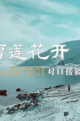 雪莲花开——对口援疆纪实