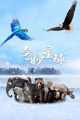 奇妙星球