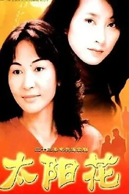 太阳花2004