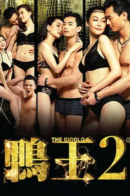 鸭王2：鸡同鸭恋