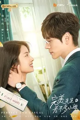 完美先生和差不多小姐（速看版）