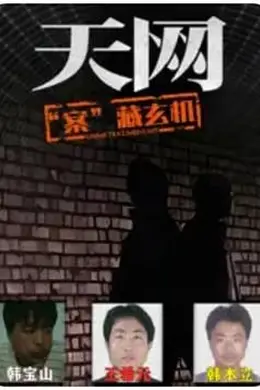 天网：“案”藏玄机